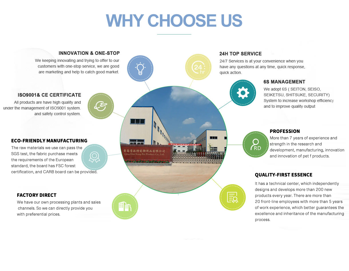 Why choose us